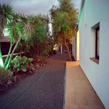 Surfwhitehouse Willa *