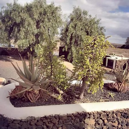 Willa Surfwhitehouse