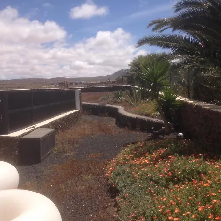 فيلة Surfwhitehouse لاجاريس