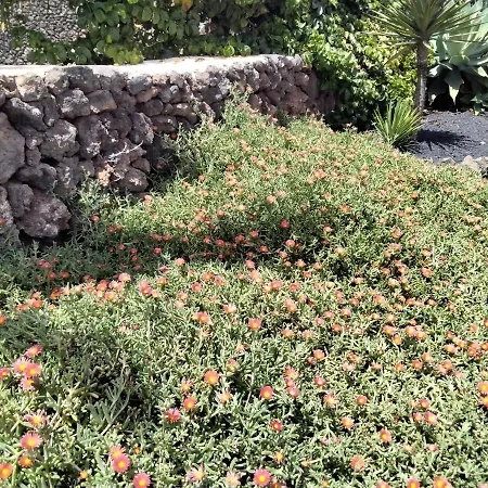 Surfwhitehouse * لاجاريس