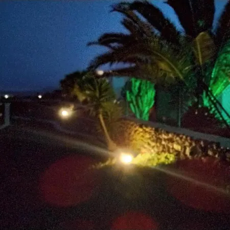 فيلة Surfwhitehouse *