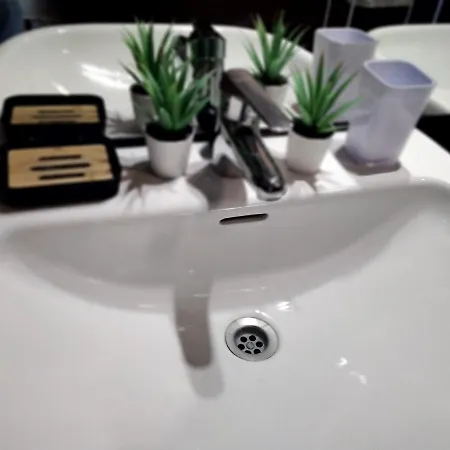 فيلة Surfwhitehouse