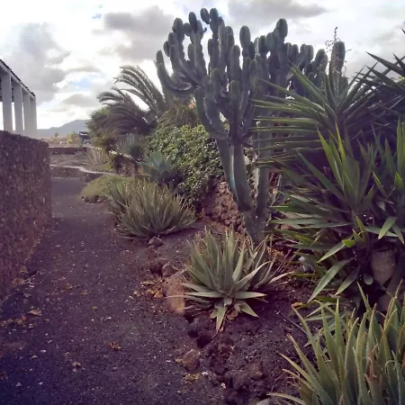 فيلة Surfwhitehouse