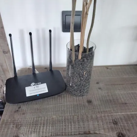 فيلة Surfwhitehouse *