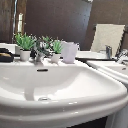 فيلة Surfwhitehouse لاجاريس