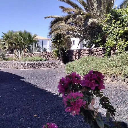 Surfwhitehouse لاجاريس