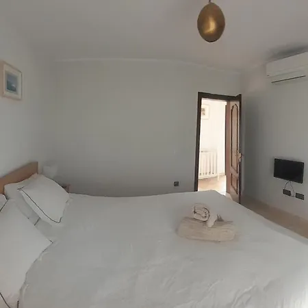 فيلة Surfwhitehouse