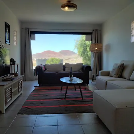 فيلة Surfwhitehouse