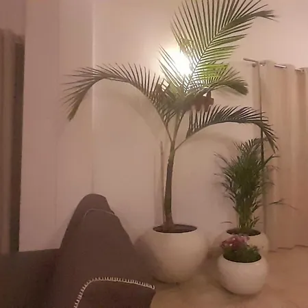 Surfwhitehouse لاجاريس